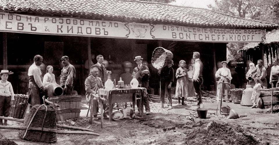 Enyo Bonchev distillery