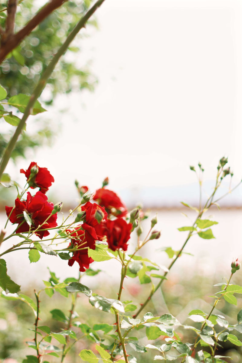 Нашата Философия